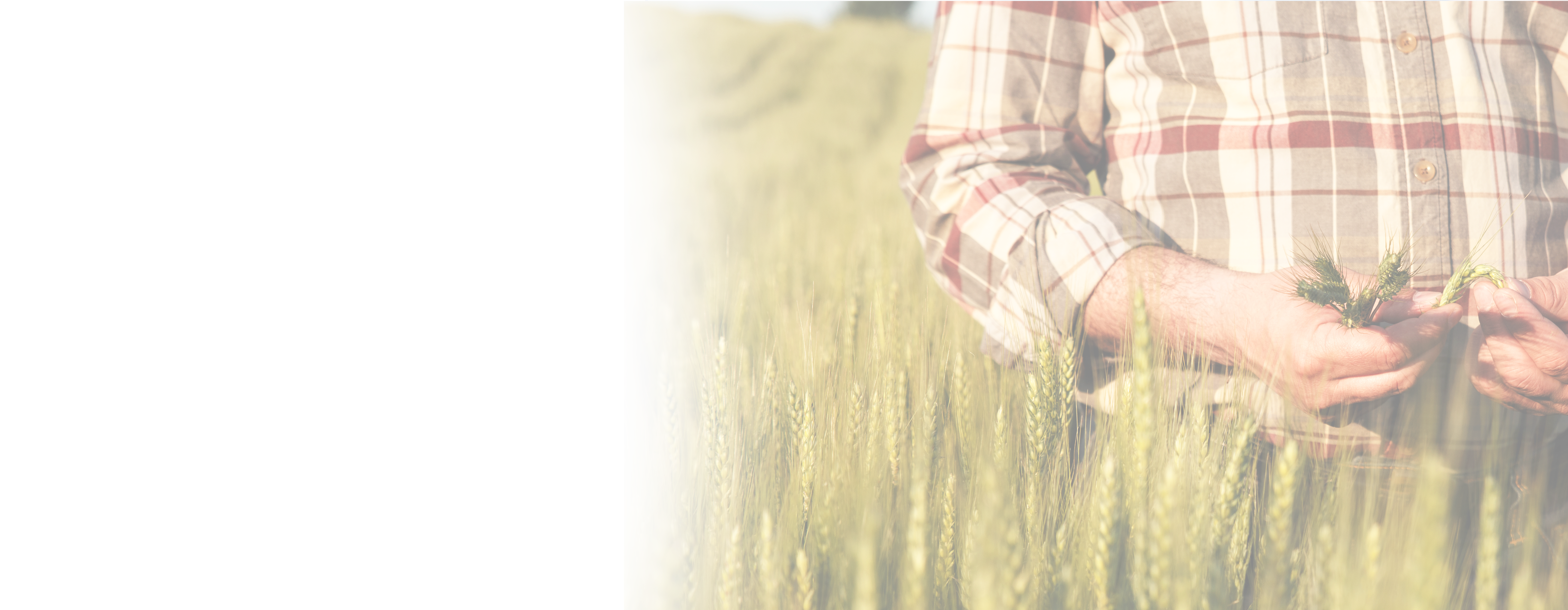 Home Massie & Quick LLC